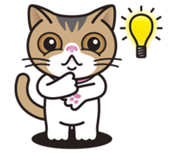 SOPHIE the Exotic Shorthair Cat sticker #9978452