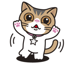 SOPHIE the Exotic Shorthair Cat sticker #9978453