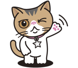 SOPHIE the Exotic Shorthair Cat sticker #9978454