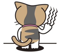 SOPHIE the Exotic Shorthair Cat sticker #9978456