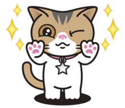 SOPHIE the Exotic Shorthair Cat sticker #9978458