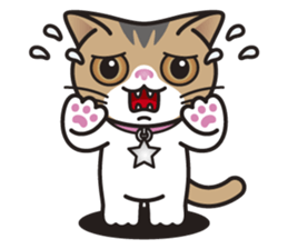 SOPHIE the Exotic Shorthair Cat sticker #9978459