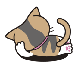 SOPHIE the Exotic Shorthair Cat sticker #9978460