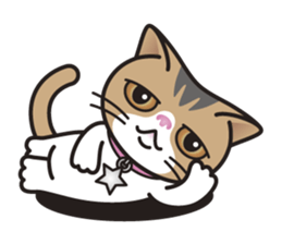 SOPHIE the Exotic Shorthair Cat sticker #9978461