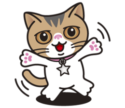 SOPHIE the Exotic Shorthair Cat sticker #9978462