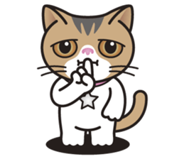 SOPHIE the Exotic Shorthair Cat sticker #9978463