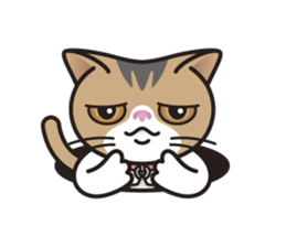 SOPHIE the Exotic Shorthair Cat sticker #9978464