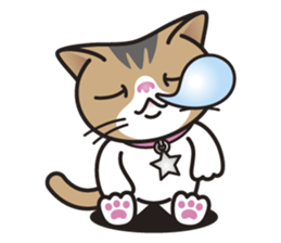 SOPHIE the Exotic Shorthair Cat sticker #9978466