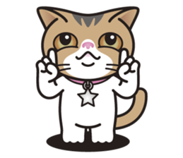 SOPHIE the Exotic Shorthair Cat sticker #9978467