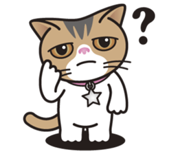 SOPHIE the Exotic Shorthair Cat sticker #9978469