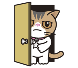 SOPHIE the Exotic Shorthair Cat sticker #9978471