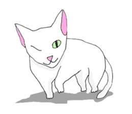 Rin's everyday life sticker #9979808