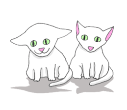 Rin's everyday life sticker #9979820