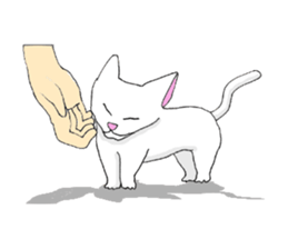 Rin's everyday life sticker #9979823