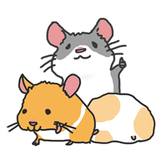 Chubby hamsters
