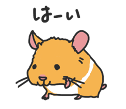 Chubby hamsters sticker #9981912