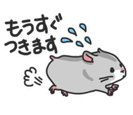 Chubby hamsters sticker #9981918