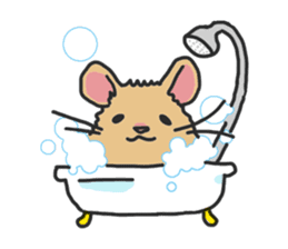 Chubby hamsters sticker #9981931