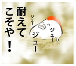 Eat not birds1 sticker #9982188