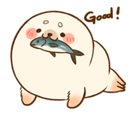Baby Seal A-SHU sticker #9982215