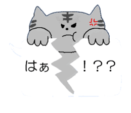 cat speak sticker #9984229
