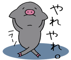 Pig baby. sticker #9984641