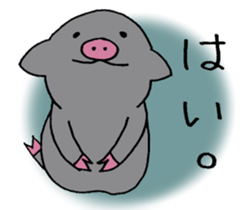 Pig baby. sticker #9984665