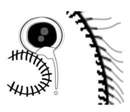 Rabbit of Disheveled Hair 3 sticker #9985635