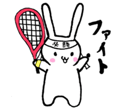 Squash Sticker with Rabbit sticker #9985925