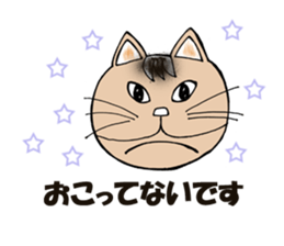 homecat sticker #9986707