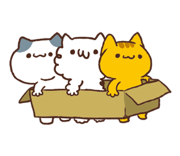 Wayward kitten us. sticker #9988816