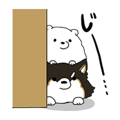 Pomeranian and Chihuahua