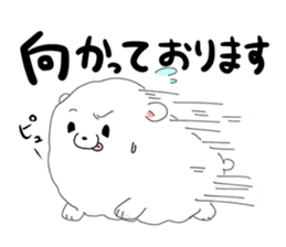 Pomeranian and Chihuahua sticker #9991944