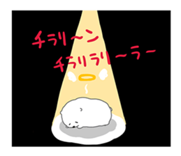 Pomeranian and Chihuahua sticker #9991968