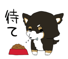 Pomeranian and Chihuahua sticker #9991970