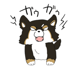 Pomeranian and Chihuahua sticker #9991971