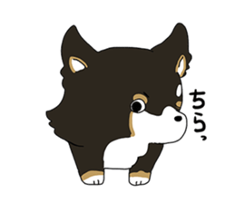 Pomeranian and Chihuahua sticker #9991975