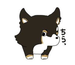 Pomeranian and Chihuahua sticker #9991975