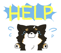 Pomeranian and Chihuahua sticker #9991977