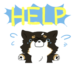 Pomeranian and Chihuahua sticker #9991977