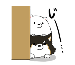 Pomeranian and Chihuahua sticker #9991981