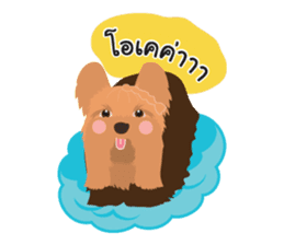 Pets shop sticker #9994959