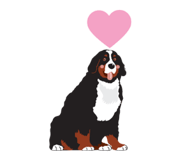 Pets shop sticker #9994974