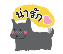 Pets shop sticker #9994981