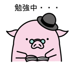 Hat pig 3 sticker #9995465