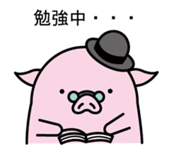 Hat pig 3 sticker #9995465