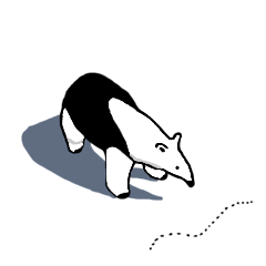 Daily life of the anteater