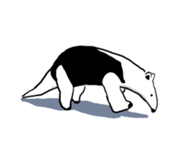 Daily life of the anteater sticker #9995988