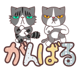 sorry , I'm a cat.-Large character ver.- sticker #9997609