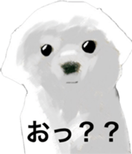 Life of Maltese sticker #9999064